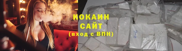 прущие грибы Абдулино