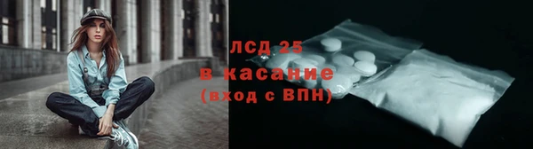 прущие грибы Абдулино
