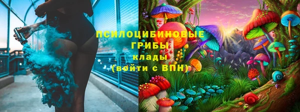 прущие крисы Абаза
