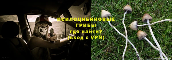 прущие крисы Абаза