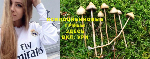 прущие крисы Абаза