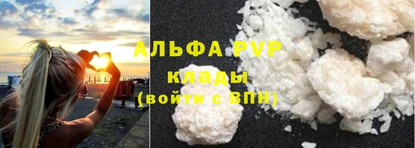 прущие грибы Абдулино