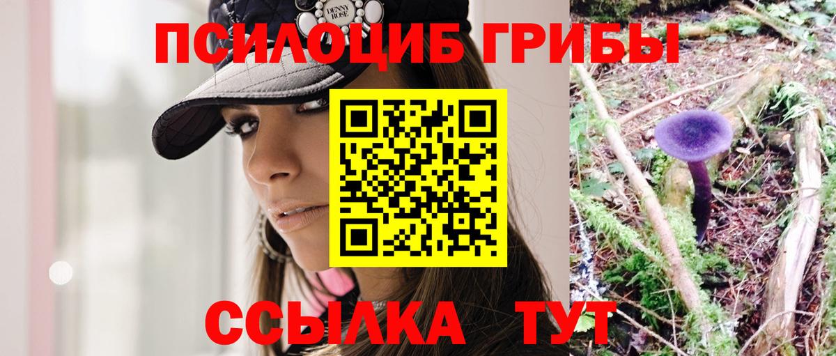 Галлюциногенные грибы Psilocybine cubensis  закладки  Псилоцибиновые грибы MAGIC MUSHROOMS  Нижнекамск  Вход с VPN 